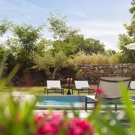 Family Calluna With Pool And Grill In Porec Villa *